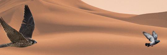 يوسف العبودي ابوياسر's banner