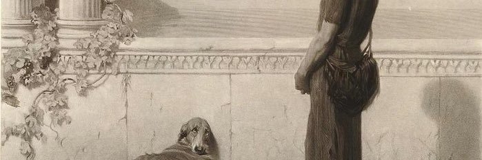 ZombieSilvia 🧟‍♀️☣️'s banner