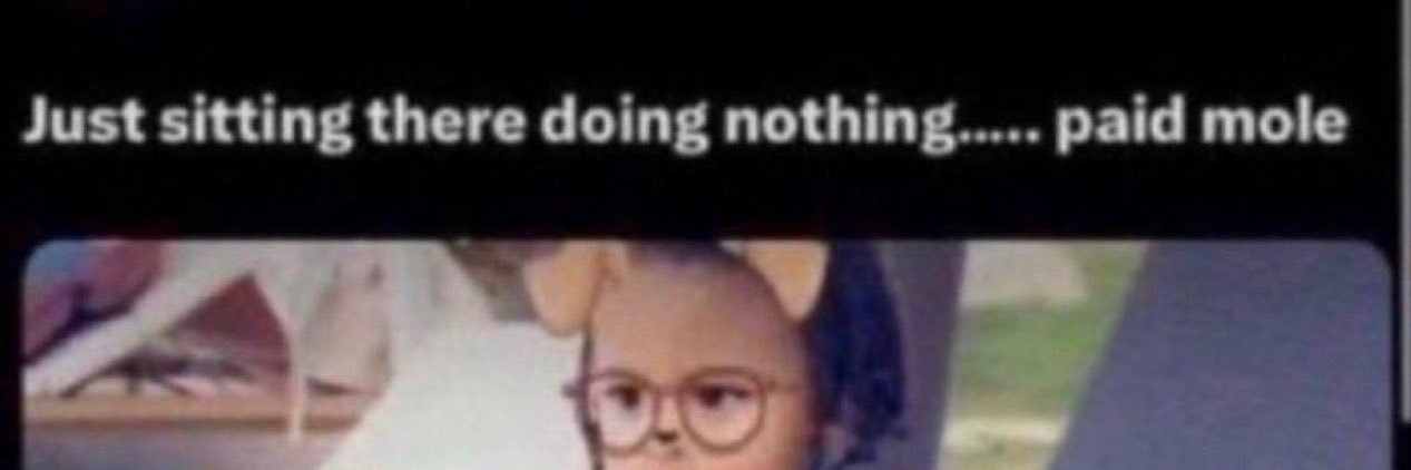 honey's banner