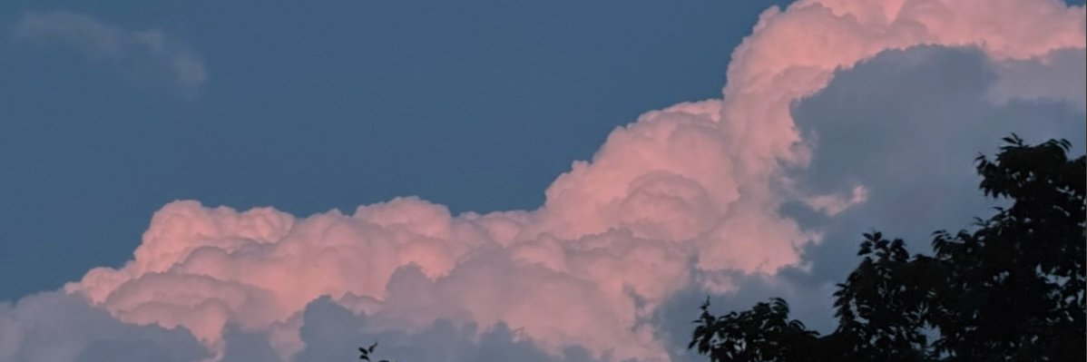 rebekah's banner