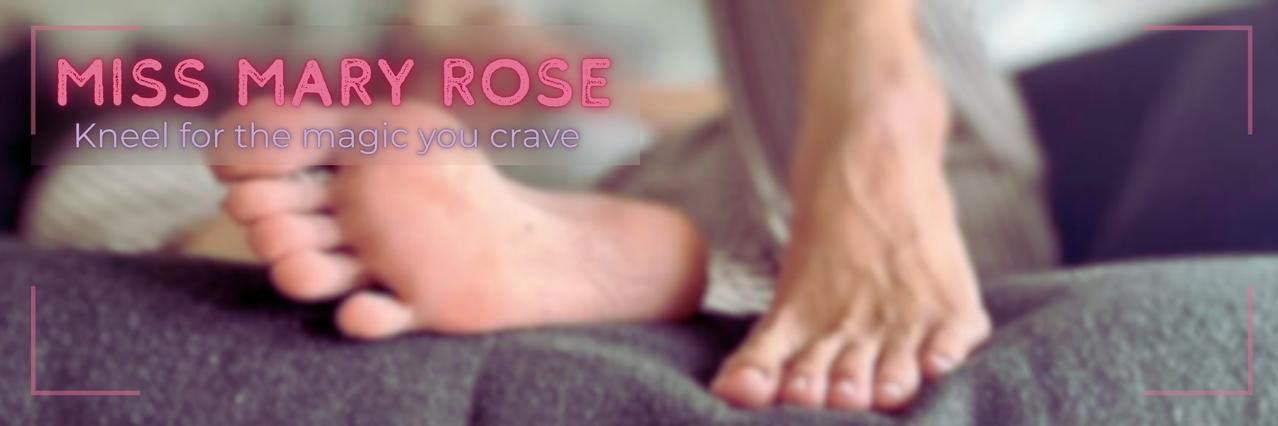 Miss Mary Rose's banner