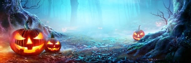 FEARfeb's banner