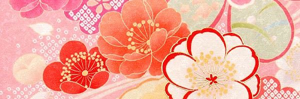 callie 𝜗𝜚⋆₊˚'s banner