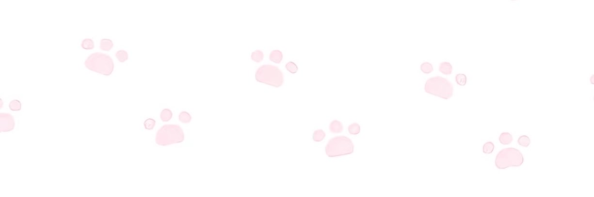 nimo's banner