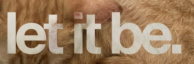 icell ✮'s banner