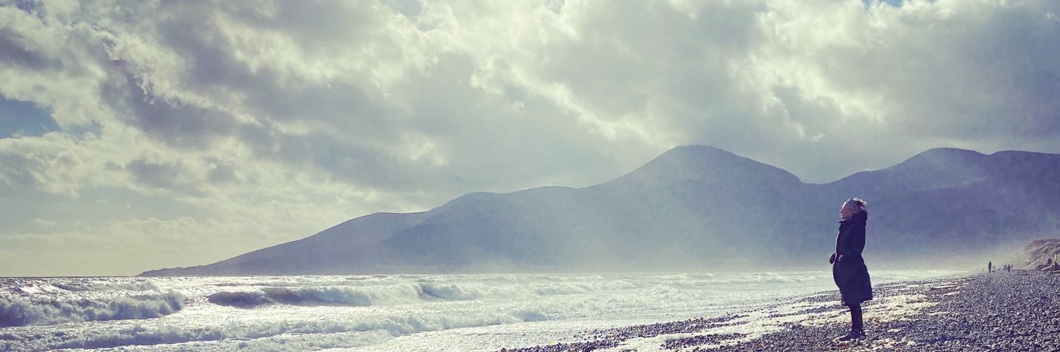 Rebecca Caine's banner