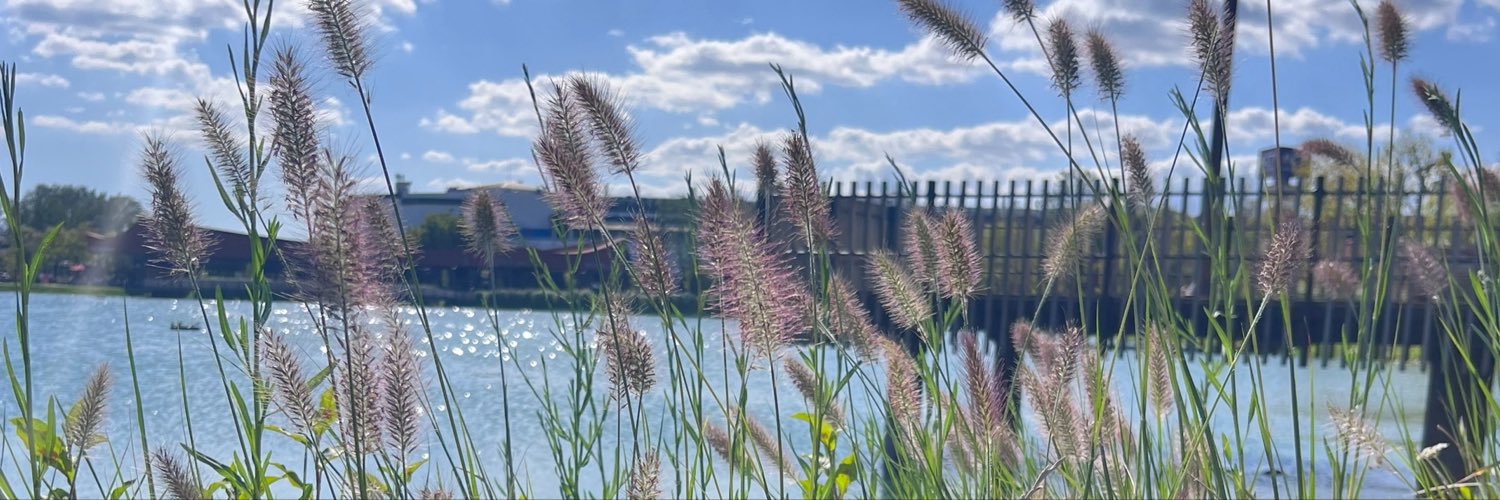 gül ayşe 🌊's banner