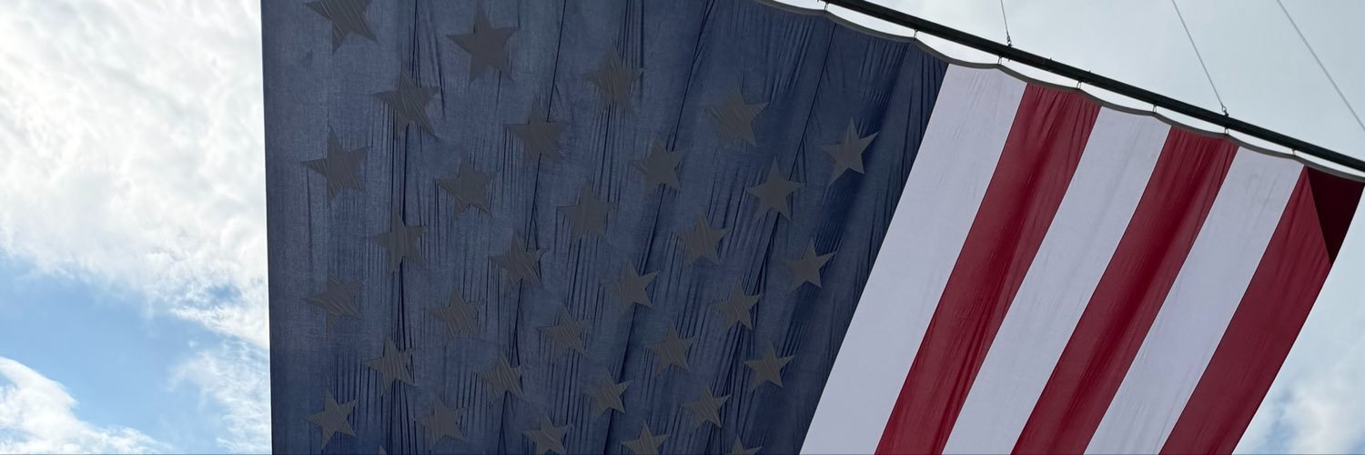 Amir Hassan's banner