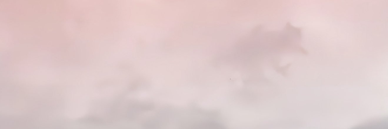抖音姐姐走光's banner