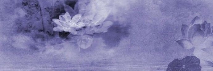 mira ✧'s banner