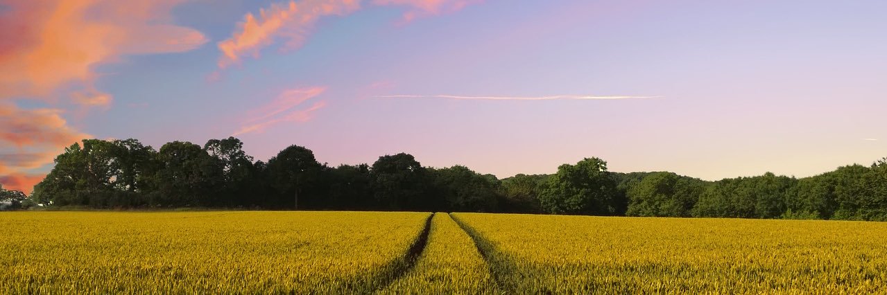 Scarlett Sinclair's banner