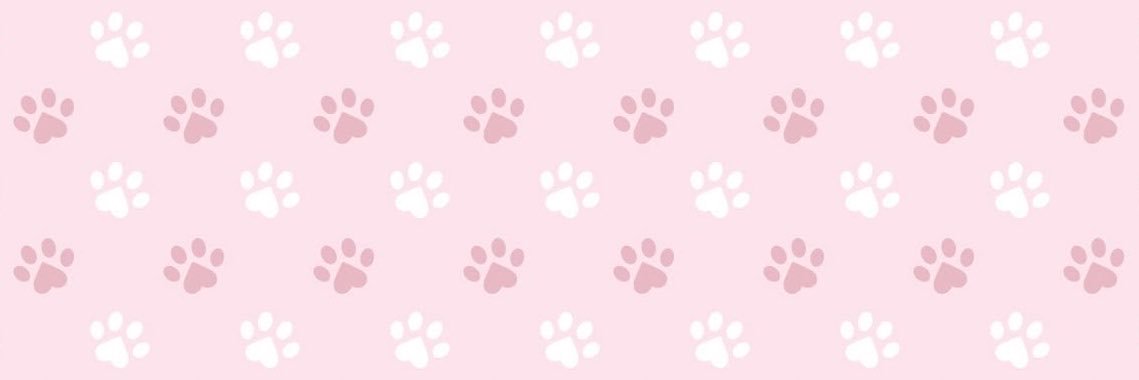 ⋆. 𐙚˚࿔ Sugar 𝜗𝜚˚⋆'s banner