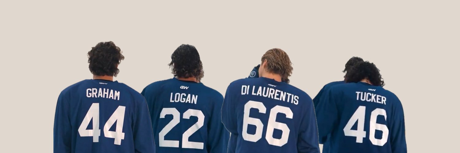 𝐃𝐢𝐚𝐧𝐚 ‎#22 🏒🏹's banner