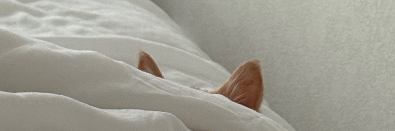 담이냥이's banner