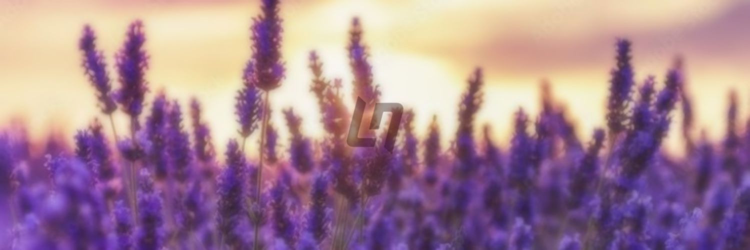 kinder ¹'s banner