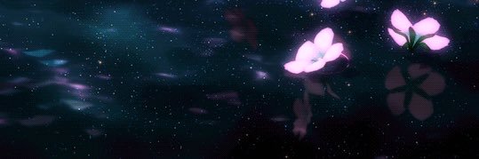 jane's banner