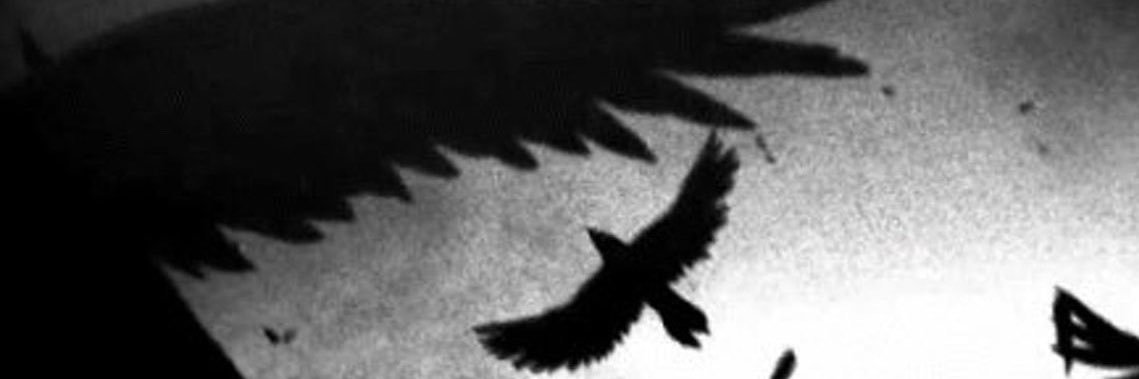 Kolya's banner