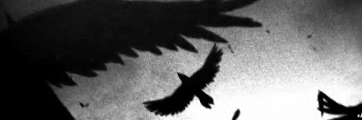 Kolya's banner