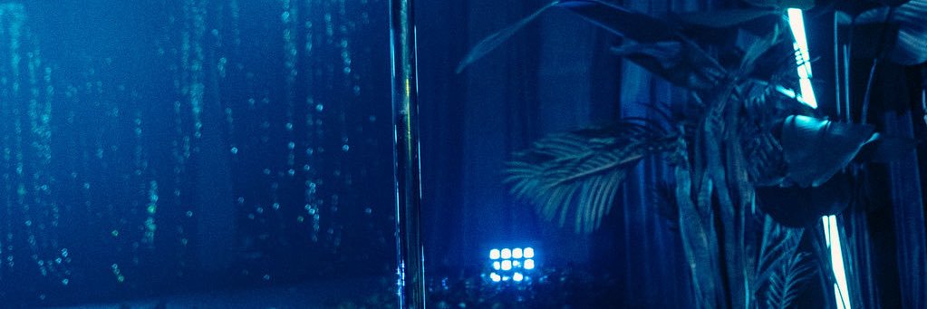 Stormi's banner