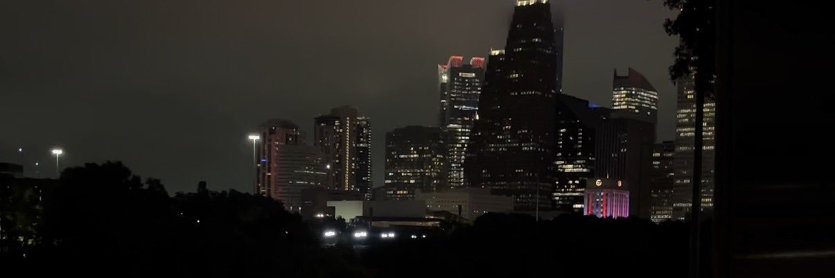 🦅's banner