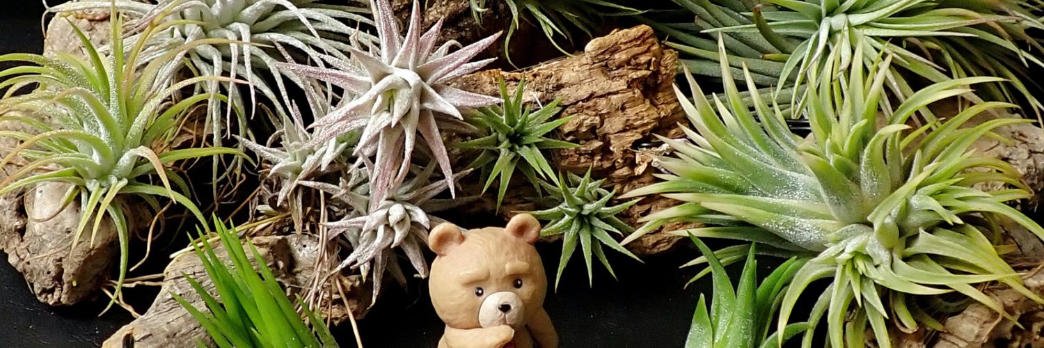 タクソン🐻's banner