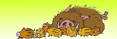 I Am The Hog.'s banner