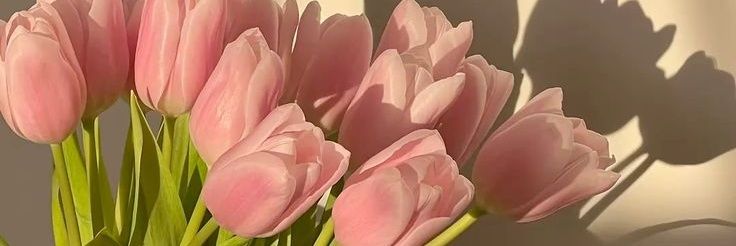 Milica Jovic's banner