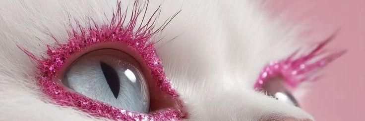Milica Jovic's banner