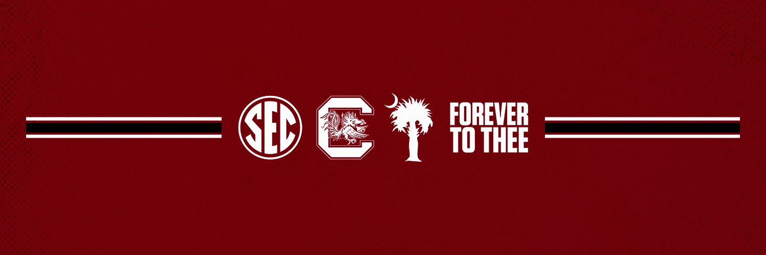 South Carolina Gamecocks's banner
