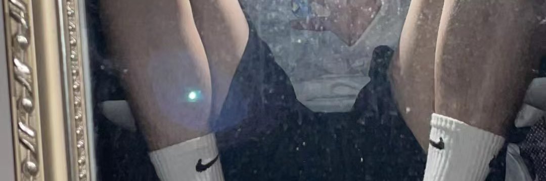 Wild dog2.0's banner