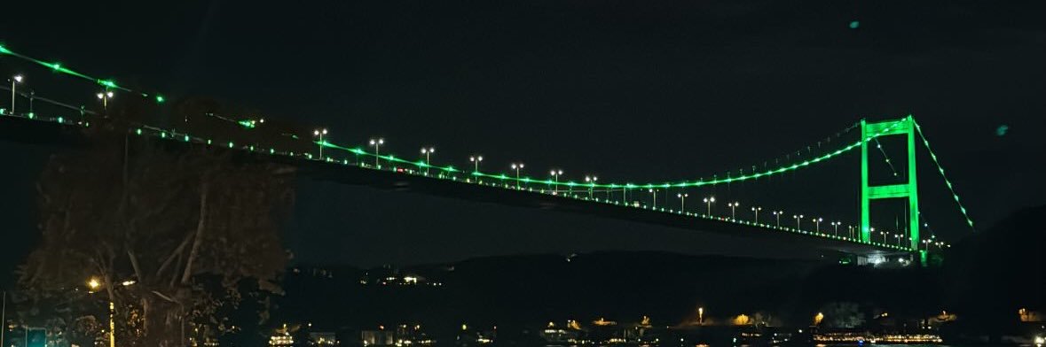 Leyla's banner