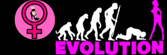 slavetoWomyn♀️ 3K's banner