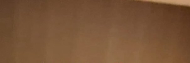 halo's banner