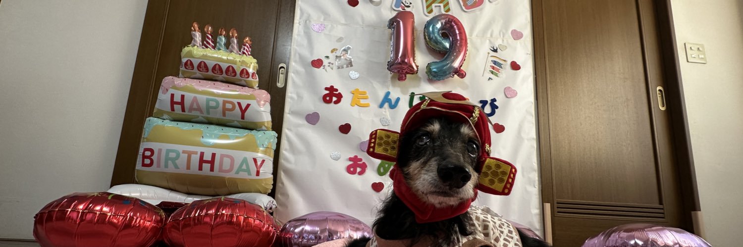 𝑻𝑨𝑪𝑪𝑯𝑰𝑵𝑴𝑨𝑵🐶's banner