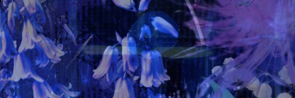 racx's banner