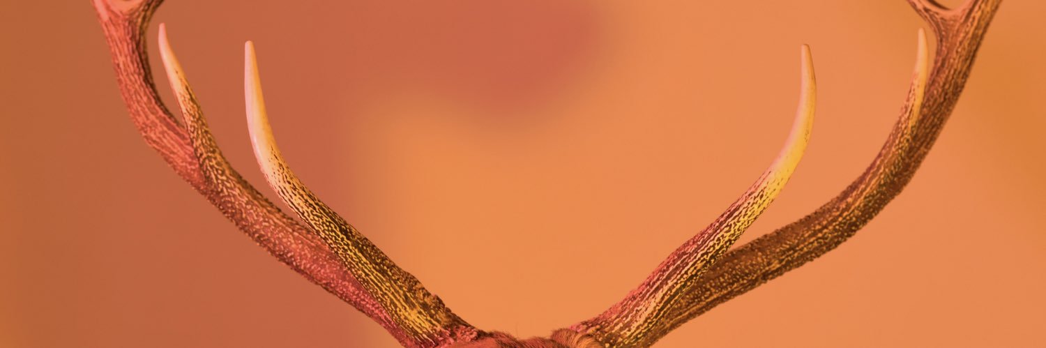 Yackle's banner