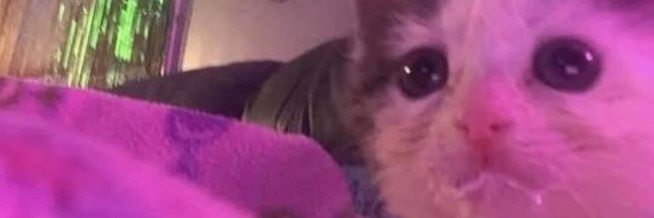 Kizzamay's banner