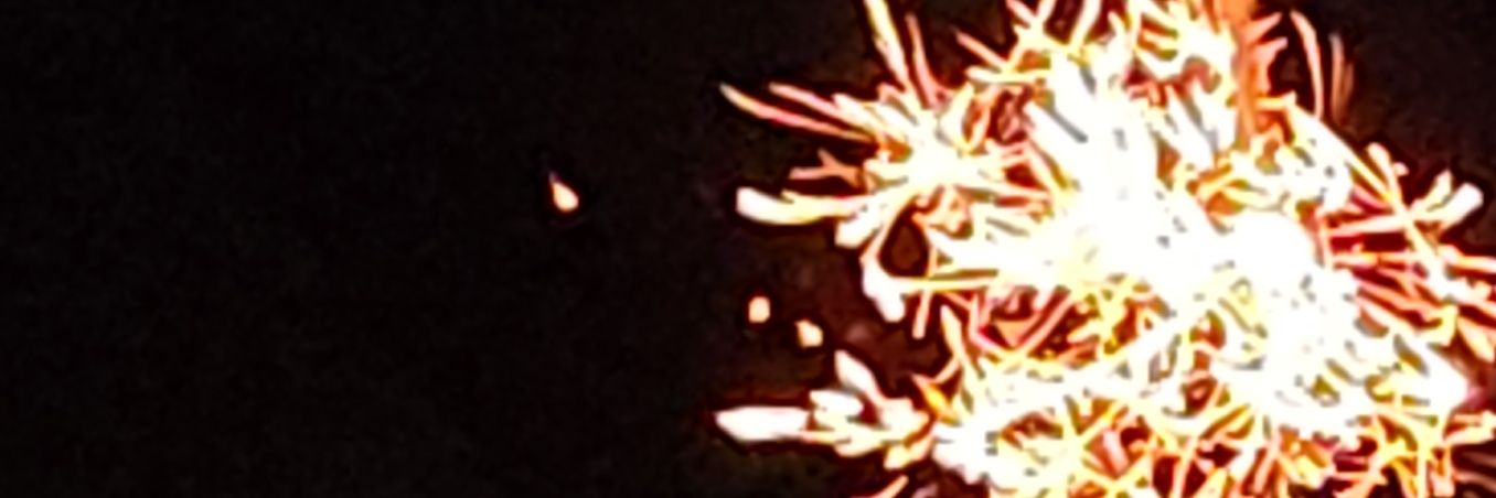 日本の夜明け's banner