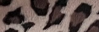 bad 2 da bone's banner