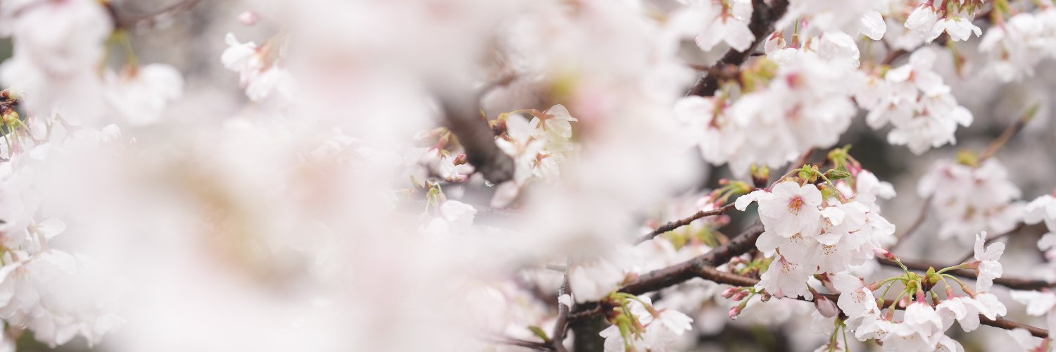ぼくと's banner