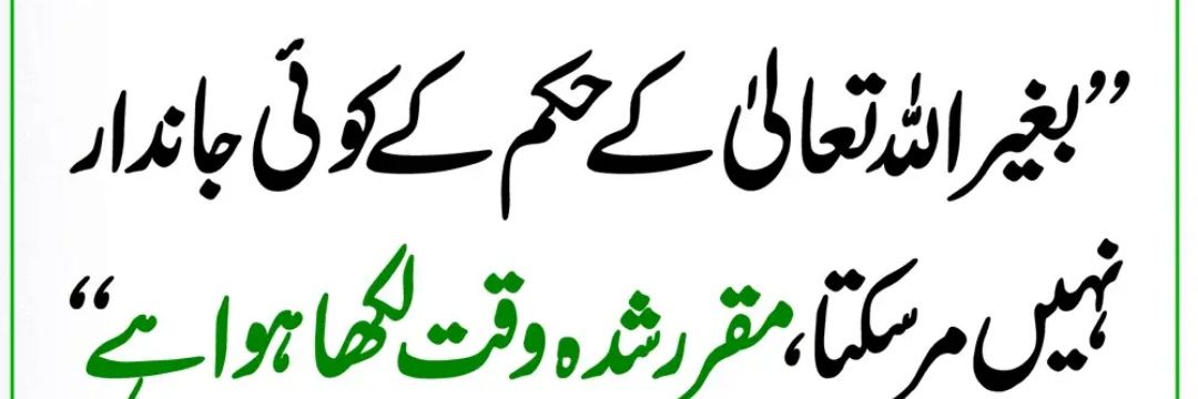SajidR Hayat's banner