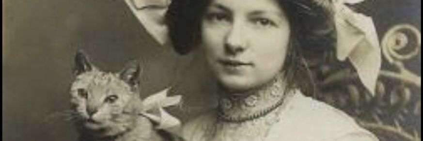 Sara Djermanovic's banner