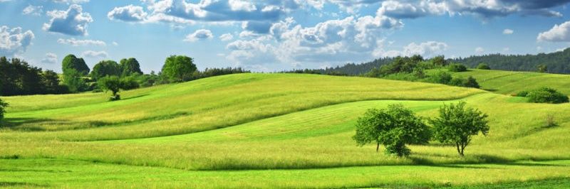 ♠️꧁༒Farm_Of_Semental༒꧂👑's banner