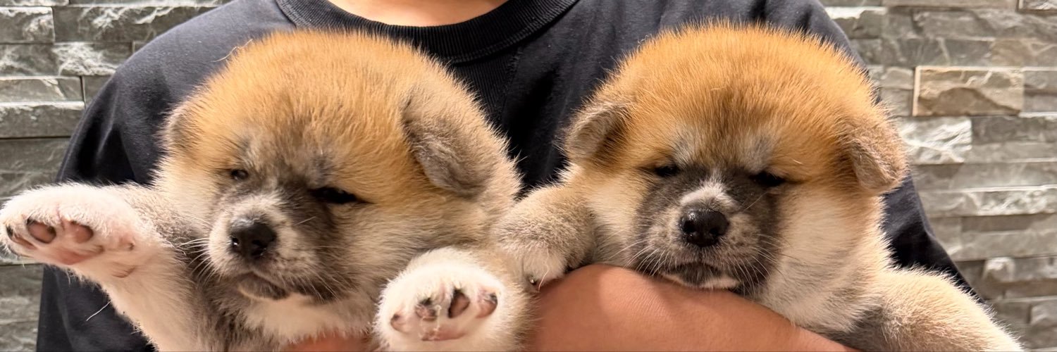 秋田犬ルナ's banner