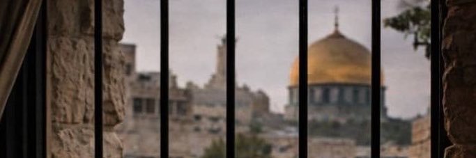 میوند's banner