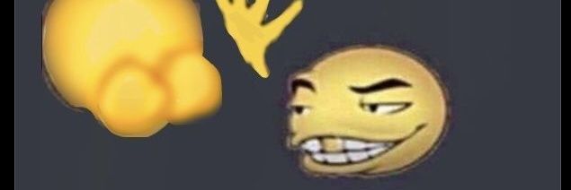 T Fuck's banner