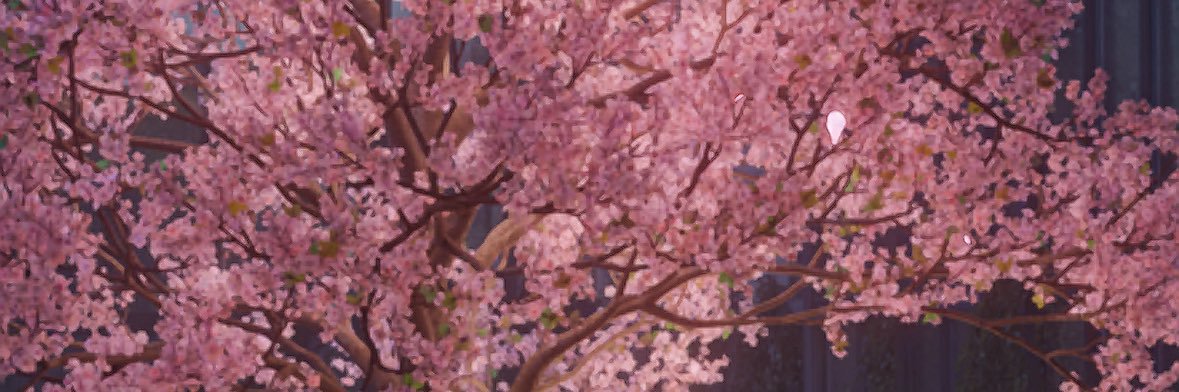 ⋆❅elie is ia :3 | zaynetember's banner