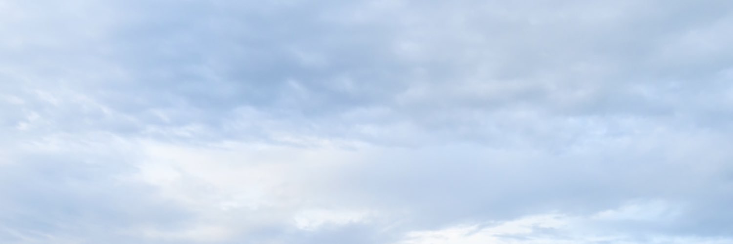 🪷˚*ੈ♡⸝⸝🦢's banner
