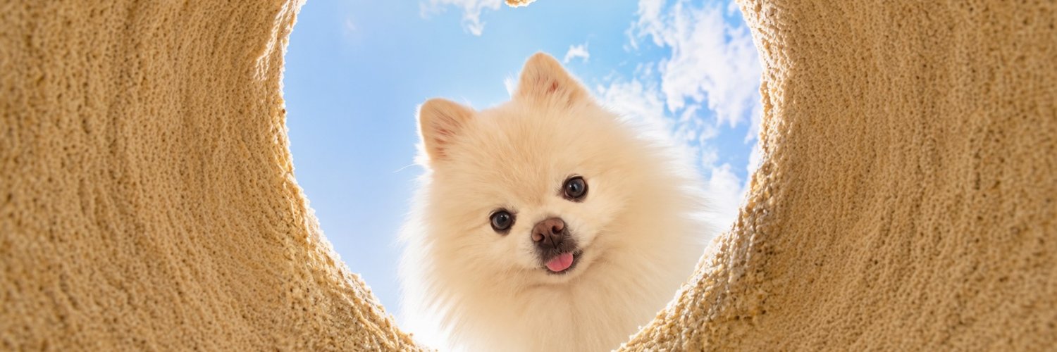 새곰(Premium+)'s banner