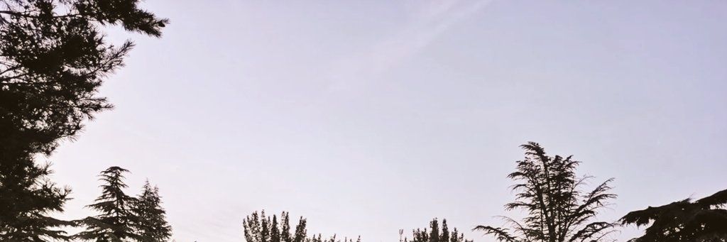 Frank's banner